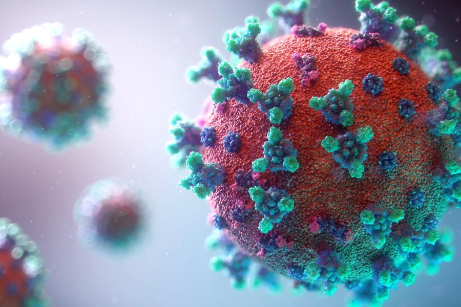 Visualization of covid-19