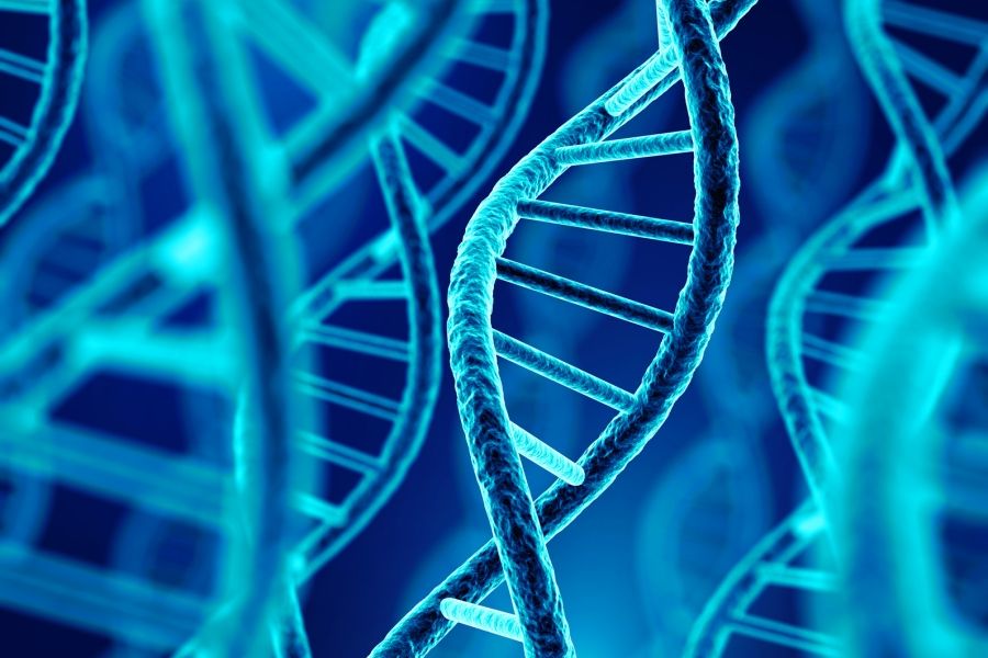 Genetics Patient and Family Day will be held on October 14