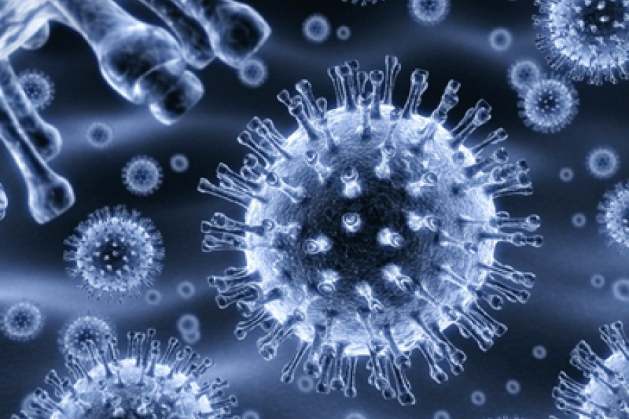 Influenza virus