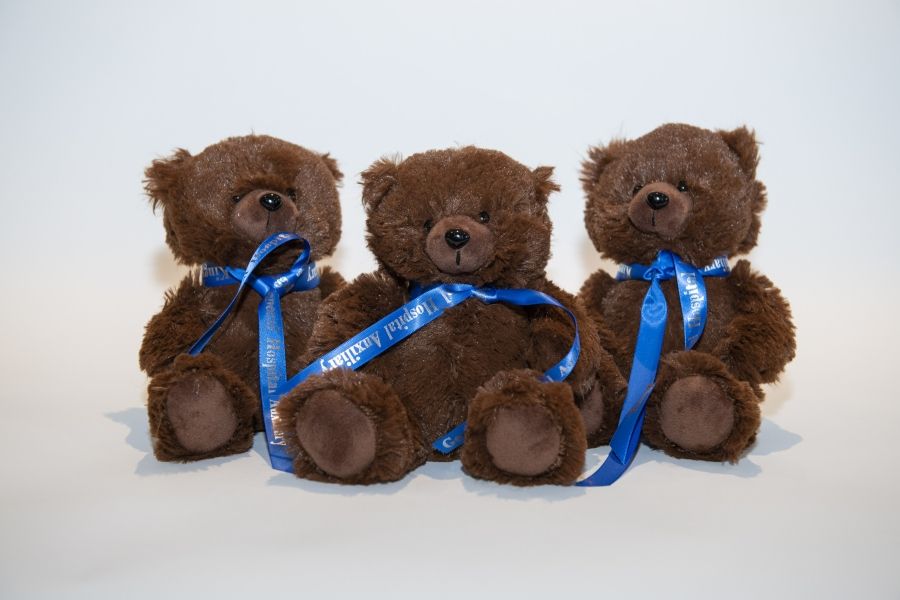 2022 teddy bears