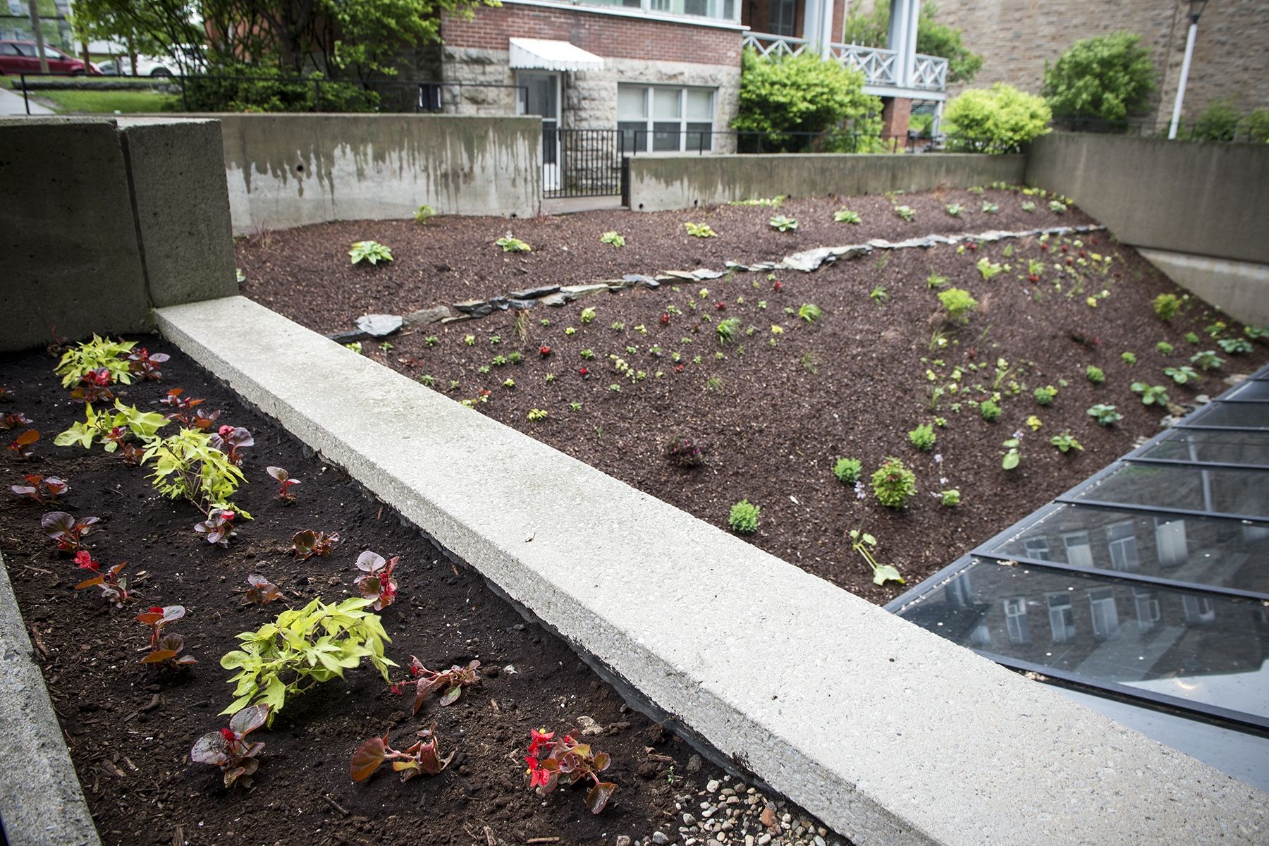 The familiar view out of the Atrium cafeteria is much greener and cleaner, with new plants and landscaping.